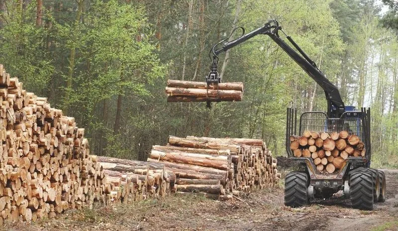 Ile zarabia operator maszyn leśnych? Przewodnik po wynagrodzeniach w branży leśnej