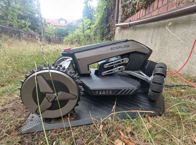 Jak często kosić trawę robotem, aby cieszyć się idealnym ogrodem?
