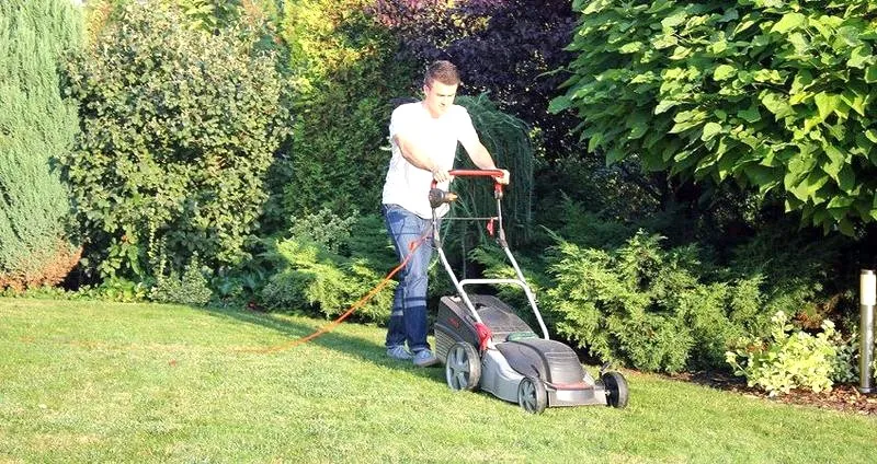 Traktorek czy robot koszący: który wybór będzie lepszy dla twojego ogrodu?