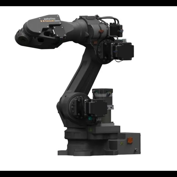 Edukacyjne zabawki roboty