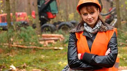 Wynagrodzenia operatorów maszyn leśnych